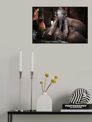 THE little PRINCE ....