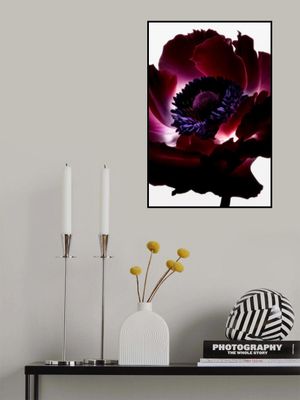 Lightfall Florals - Garnet Bloom