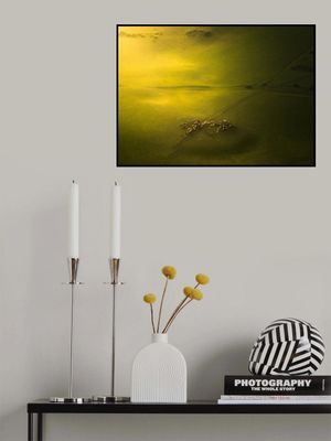 The Sheep in The Green Land