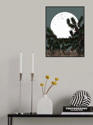 A Serene Moonlit Night