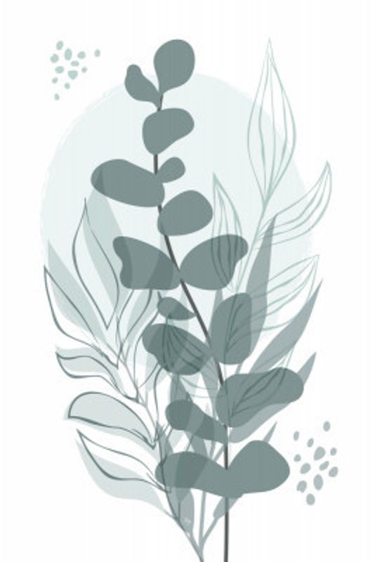 Eucalyptus Leaves Elegance