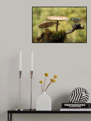 My small part of the world