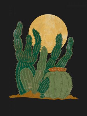 Modern Americana and Cactus