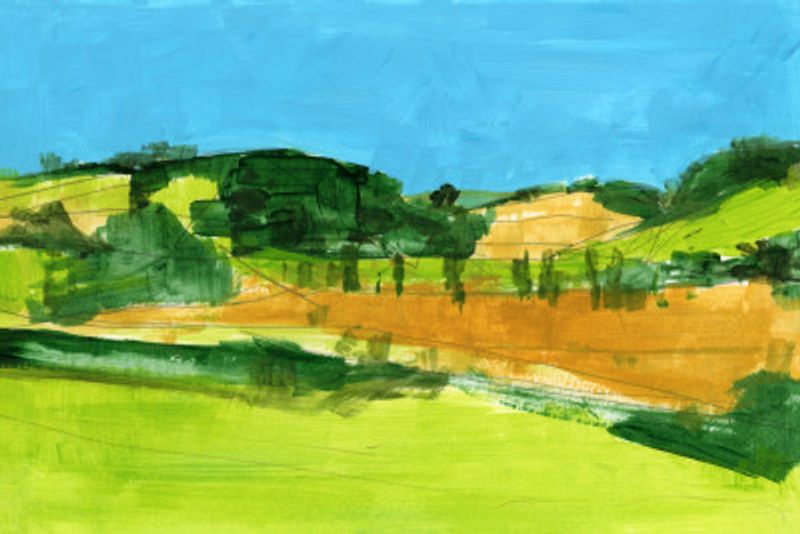 Country Landscape 1