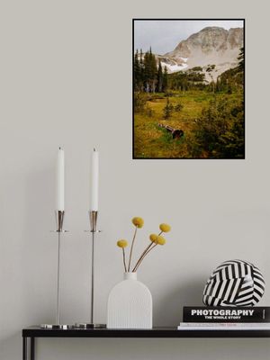 Indian Peaks Wilderness