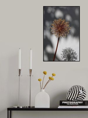 Withered flower, seed house_1