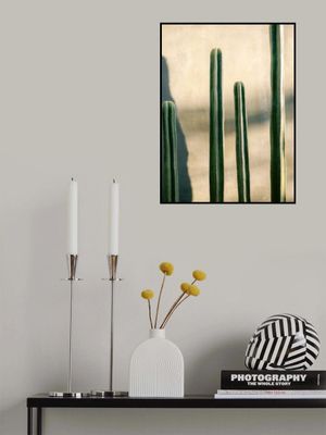 Oaxaca Shades of Green | Mexico travel photography