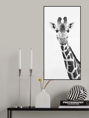 Giraffe Portrait