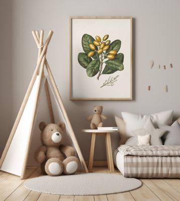 Karaka Drawn By Sarah Featon (1848–1927)