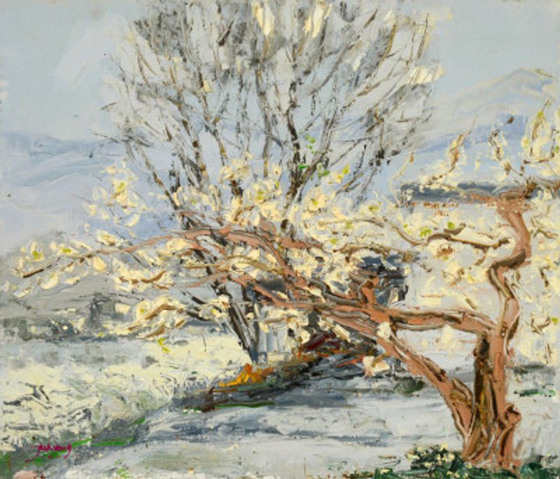 Pear Tree Flower Landscape