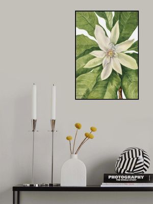 Umbrella Tree (1932)