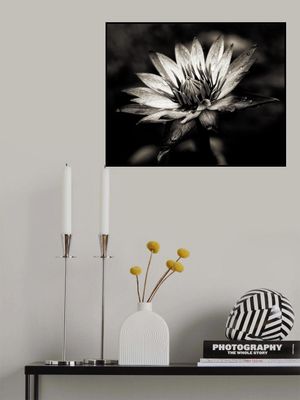 mörderfackel [D0811-077.2]