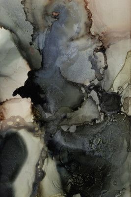 Organic Shapes With Black and Gray Tones