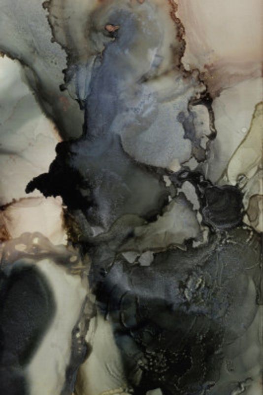 Organic Shapes With Black and Gray Tones