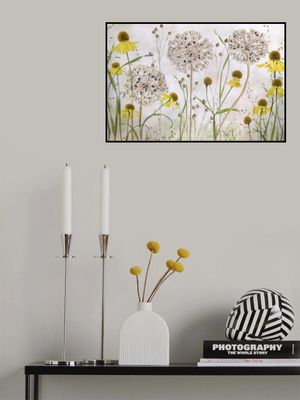 Alliums and heleniums