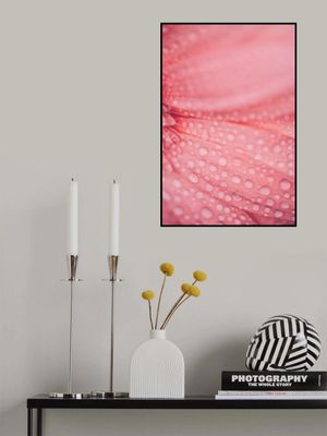 Dewy Pink Flower Petals