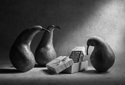 Don't you like our present?!