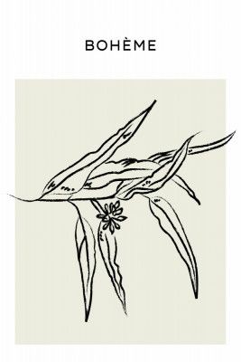Bohemeno01