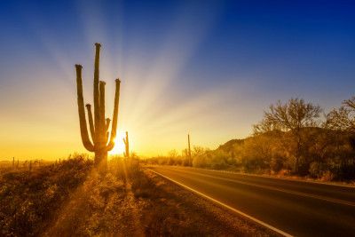 SAGUARO NATIONAL PARK Setting Sun