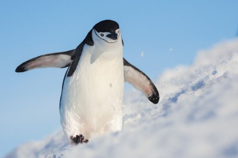 Running up that hill