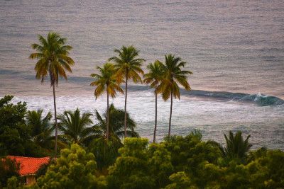 Postcard From Puerto Rico