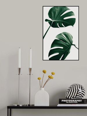 Monstera Natural 46