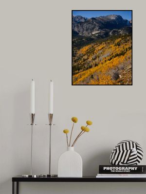 Autumn in the Rockies II