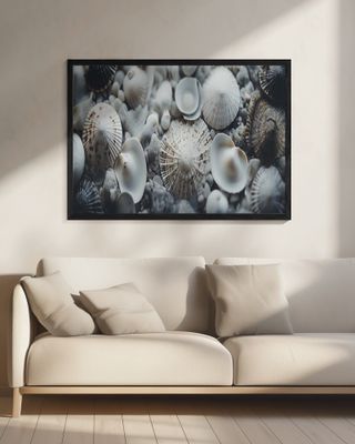 Seashell Symphony