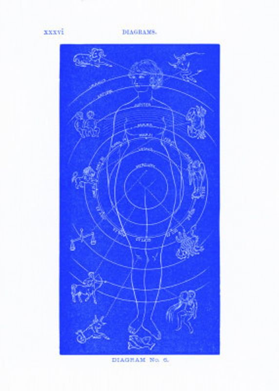 Solar Biology No. 6  blue (creative ed.)