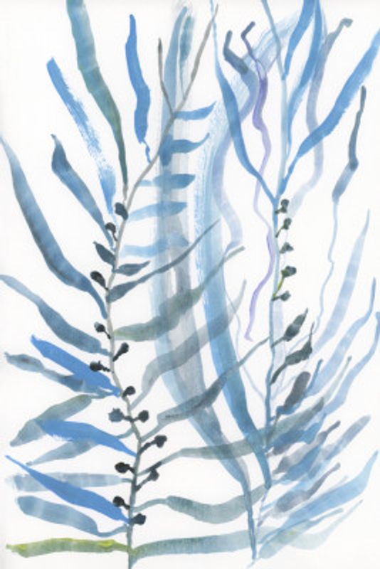 Blue Seaweed No1