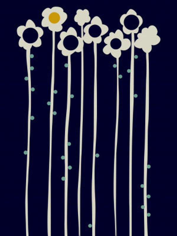 Expectant Iteration Sun Flowers