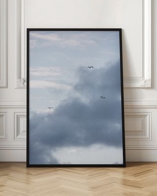 Flying High 11