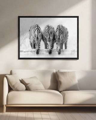 Zebras