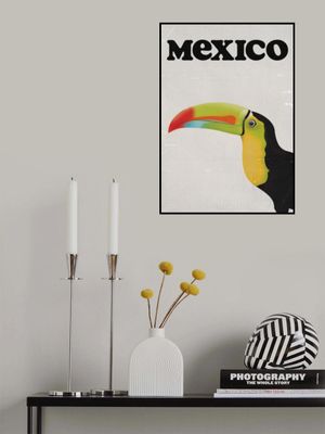 Mexico Toucan vintage Travel Poster White
