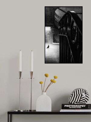 Big Bird in a Small Cage