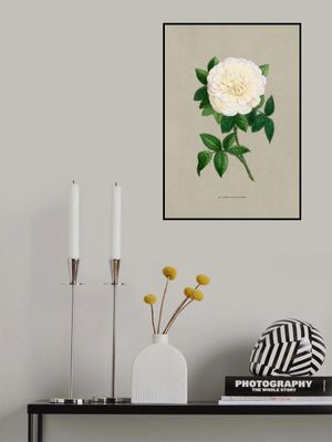 Rose Marie De Saint Jean