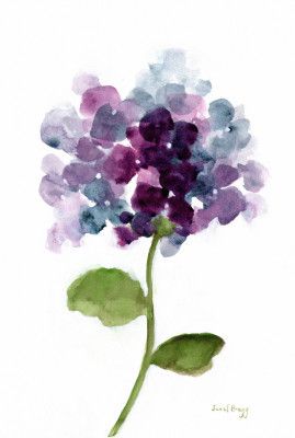 Floral With Hydranga Ii