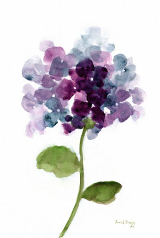 Floral With Hydranga Ii