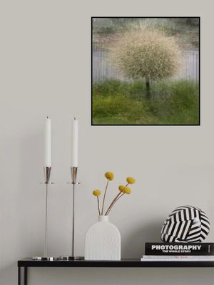 In front of the fence