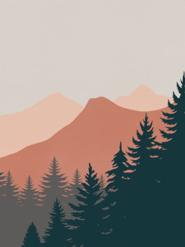 Pine Trees In The Mountains
