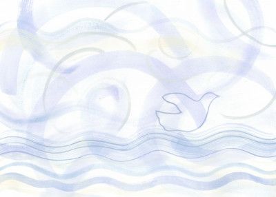 Ocean Dove