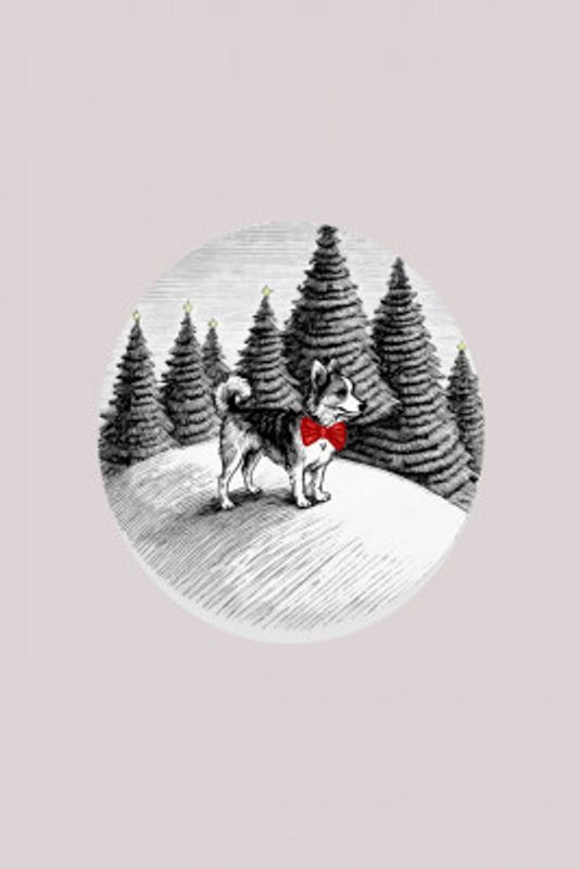 Winter Scenes: Holiday Dog In Snow With Yellow Lit Trees and Red Bow 3