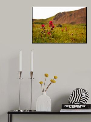 Silver Plume Paintbrush II