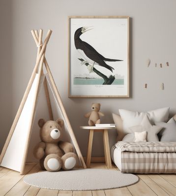 Booby Gannet From Birds of America (1827)