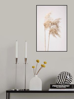 Reed Grass Grey 02