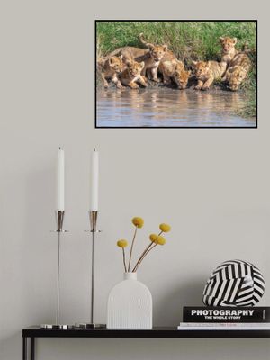 Putting the band back together....