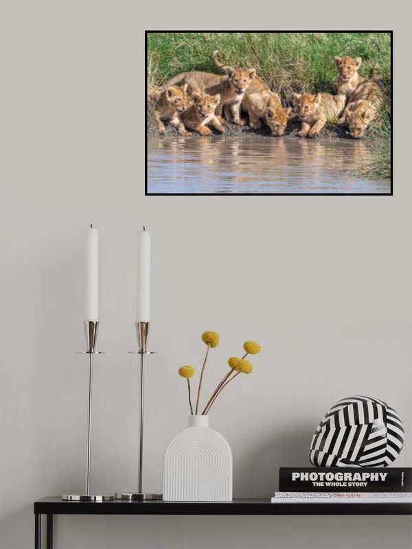 Putting the band back together....