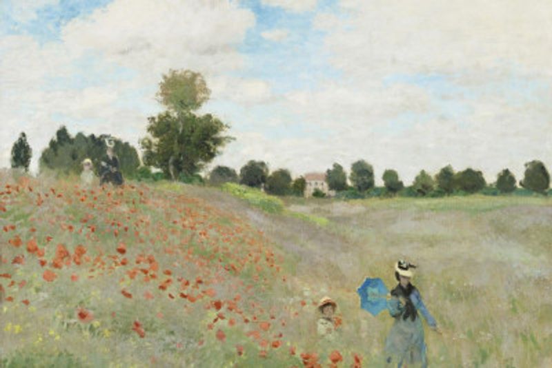 Poppy Field Near Argenteuil (1873)
