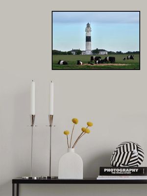 Everything black and white striped