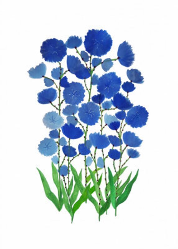 Wild Skyblue Flowers